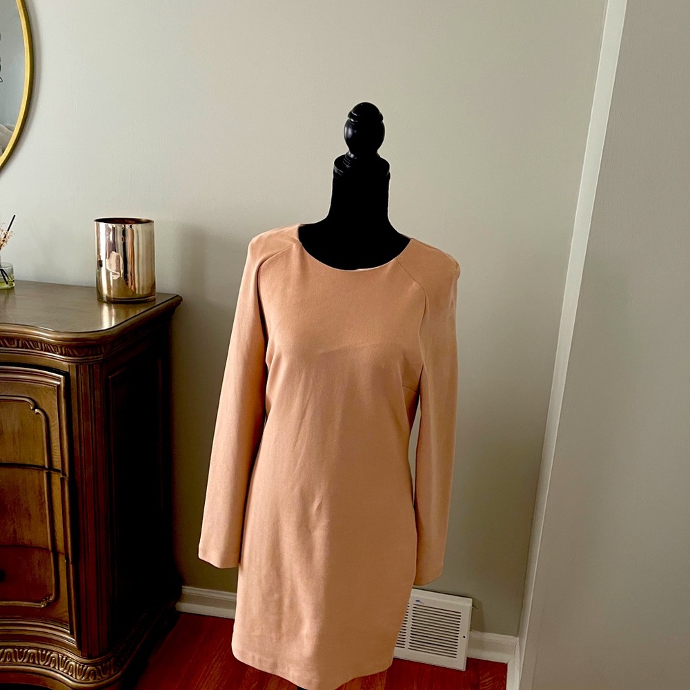 Bebe dress.